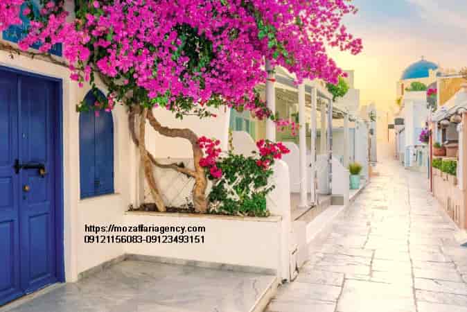 رتیمنو